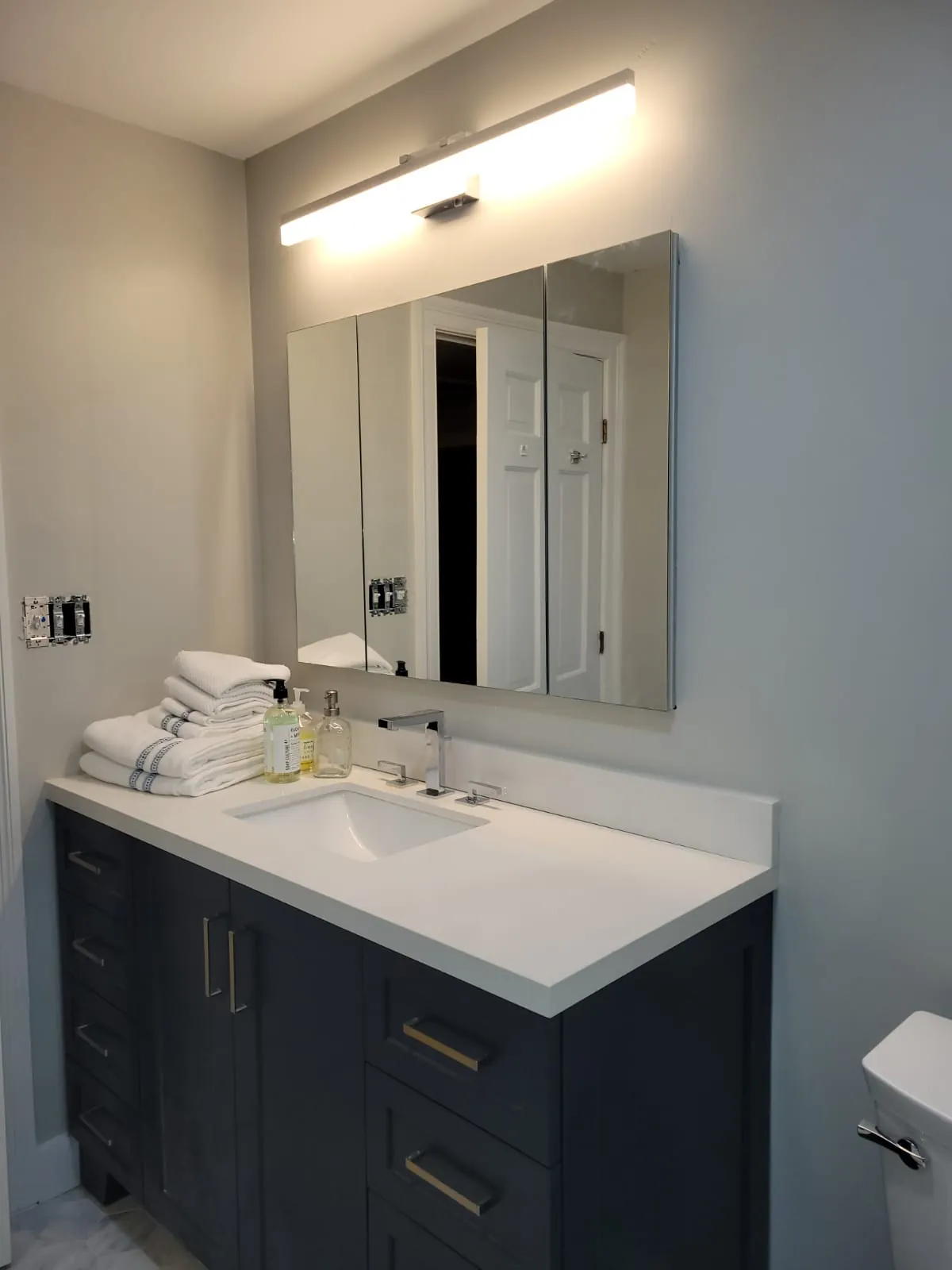 Navy shaker vanity with white quartz top, medicine cabinet and LED vanity light