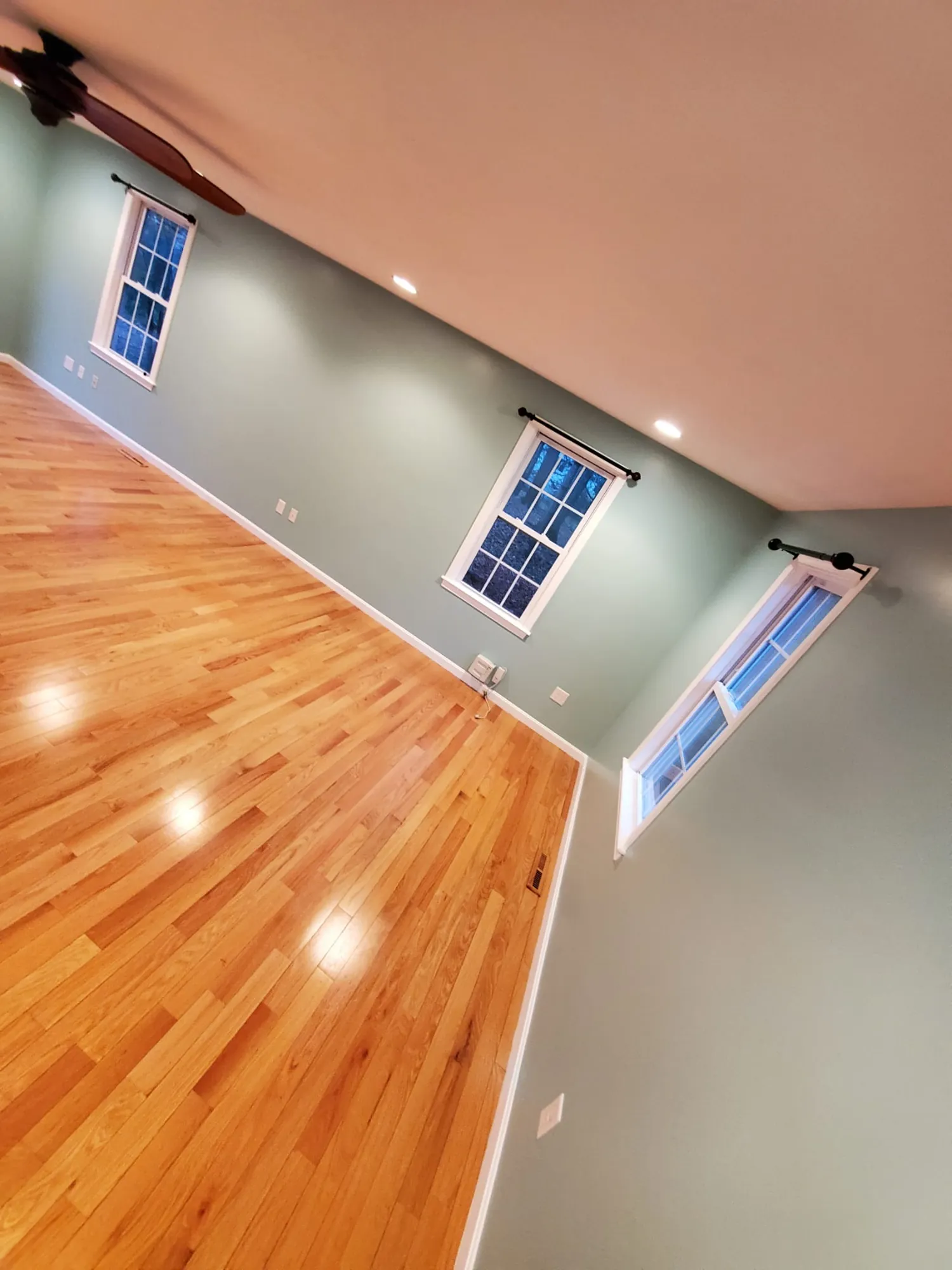 Corner of a sage green room with white window trim and glossy hardwood floor